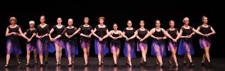 Gala de danse classique adultes 2026 